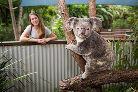Hartley\'s Crocodile Adventures Day Trip From Palm Cove - Lismore Accommodation 3