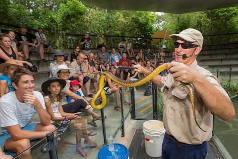 Hartley\'s Crocodile Adventures Day Trip From Palm Cove - Lismore Accommodation 5