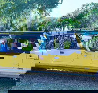 3.5 hour Eco Tour - Lismore Accommodation