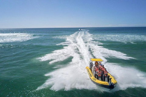 Noosa Oceanrider - Thrill Ride - Lismore Accommodation 2