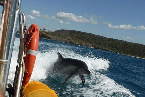 Noosa Oceanrider - Thrill Ride - Lismore Accommodation 4
