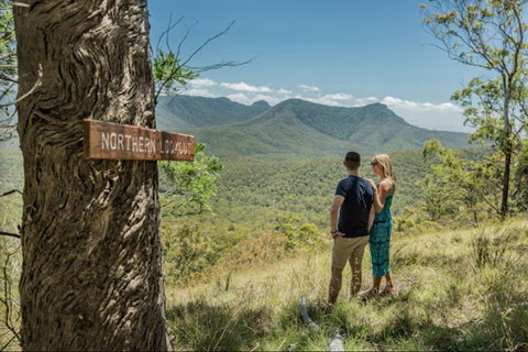 Queensland Food Tour: The Ultimate Delectable Full Day Experience - Lismore Accommodation 1