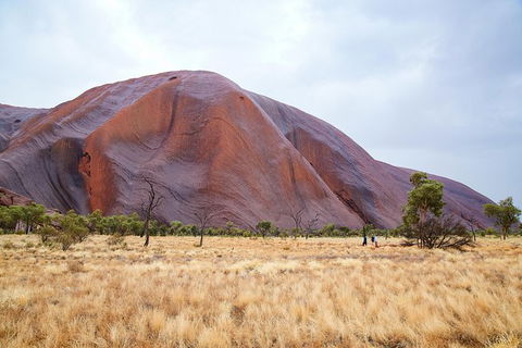 Uluru Base And Sunset Half-Day Trip With Optional Outback BBQ Dinner - Lismore Accommodation 10