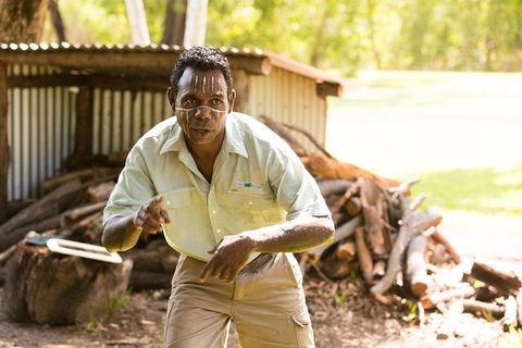 Tiwi Islands Cultural Experience From Darwin Including Ferry - Lismore Accommodation 5