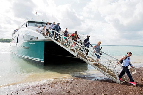 Tiwi Islands Cultural Experience From Darwin Including Ferry - Lismore Accommodation 9