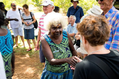 Tiwi Islands Cultural Experience From Darwin Including Ferry - Lismore Accommodation 2