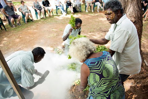 Tiwi Islands Cultural Experience From Darwin Including Ferry - Lismore Accommodation 10