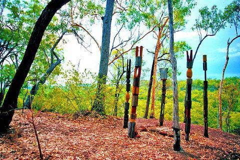 Tiwi Islands Cultural Experience From Darwin Including Ferry - Lismore Accommodation 8
