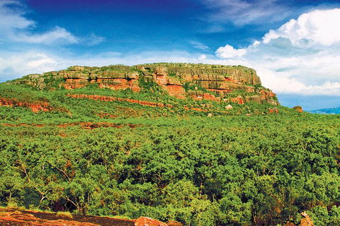 Kakadu, Nourlangie And Yellow Waters Tour From Darwin - Lismore Accommodation 1