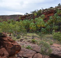 Palm Valley and Hermannsburg 1 Day 4WD Tour - Lismore Accommodation