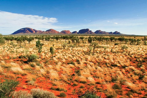 2-Day Uluru (Ayers Rock) And Kata Tjuta Trip From Alice Springs - Lismore Accommodation 9