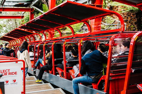 All-Inclusive Blue Mountains Day Trip With River Cruise - Lismore Accommodation 7