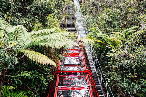 All-Inclusive Blue Mountains Day Trip With River Cruise - Lismore Accommodation 6