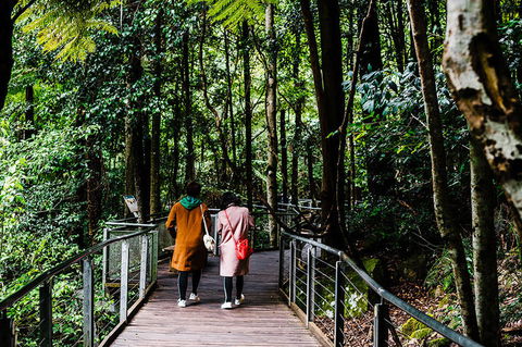 All-Inclusive Blue Mountains Day Trip With River Cruise - Lismore Accommodation 10