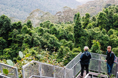 All-Inclusive Blue Mountains Day Trip With River Cruise - Lismore Accommodation 2