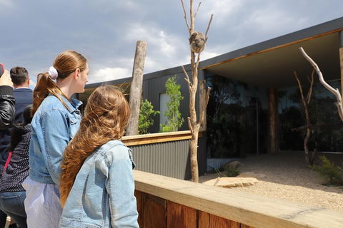 All-Inclusive Blue Mountains Day Trip With River Cruise - Lismore Accommodation 23