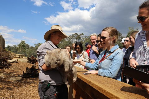All-Inclusive Blue Mountains Day Trip With River Cruise - Lismore Accommodation 27