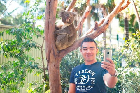 All Inclusive Full-Day Blue Mountains Trip From Sydney - Lismore Accommodation 1