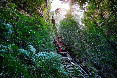 All-Inclusive Blue Mountains Tour In A Luxury Mercedes Sprinter - Lismore Accommodation 3