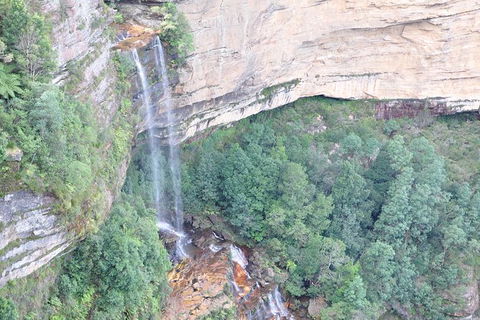 All-Inclusive Blue Mountains Tour In A Luxury Mercedes Sprinter - Lismore Accommodation 17