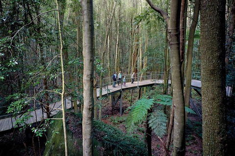 All-Inclusive Blue Mountains Tour In A Luxury Mercedes Sprinter - Lismore Accommodation 13