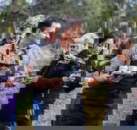 Day Trip with Chef-Led Hunter Valley Gourmet Food and Wine from Sydney - Lismore Accommodation