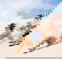 Port Stephens Day Tour with Dolphin Watching Sandboarding  Australian Wildlife - Lismore Accommodation