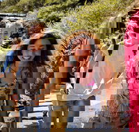 Blue Mountains Nature and Wildlife Day Tour from Sydney - Lismore Accommodation