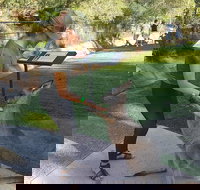 Sydney Private Day Tours - Central Coast Beaches Plus Wildlife  Reptile Park - Lismore Accommodation