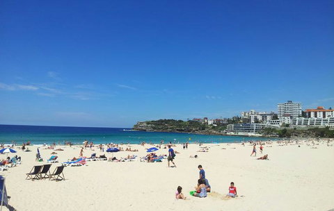 Sydney Combo: Hop-On Hop-Off Harbor Cruise And Hop-On Hop-Off City Bus Tour - Lismore Accommodation 25