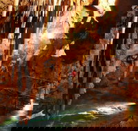 Jenolan Caves and Blue Mountains Tour from Sydney - Lismore Accommodation