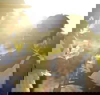 Hunter Valley Wine Tour from Sydney with Lunch and 3 Cellar Door Tastings - Lismore Accommodation