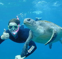 3-Hour Sea Turtle Snorkeling Experience in Byron Bay - Lismore Accommodation