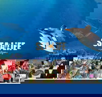 Sydney Attractions Pass SEA LIFE Aquarium Sydney Tower Eye WILD LIFE Zoo and Madame Tussauds - Lismore Accommodation