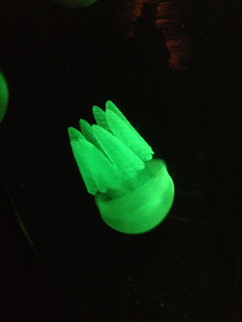 SEA LIFE Sydney Aquarium Entrance Ticket - Lismore Accommodation 2