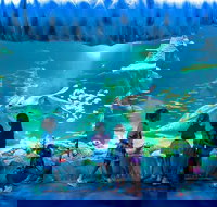 SEA LIFE Sydney Aquarium Entrance Ticket - Lismore Accommodation