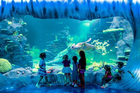 SEA LIFE Sydney Aquarium Entrance Ticket - Lismore Accommodation 0