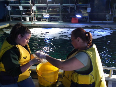 SEA LIFE Sydney Aquarium Entrance Ticket - Lismore Accommodation 14