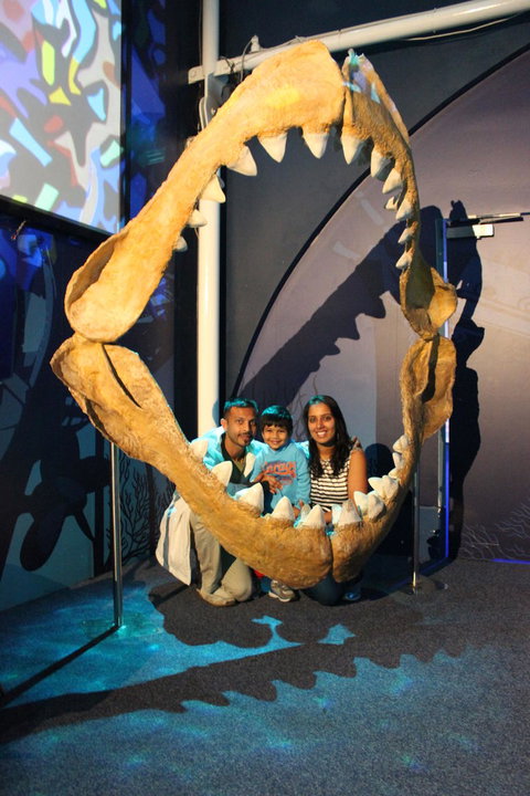 SEA LIFE Sydney Aquarium Entrance Ticket - Lismore Accommodation 6