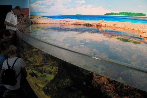 SEA LIFE Sydney Aquarium Entrance Ticket - Lismore Accommodation 24