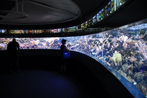 SEA LIFE Sydney Aquarium Entrance Ticket - Lismore Accommodation 23