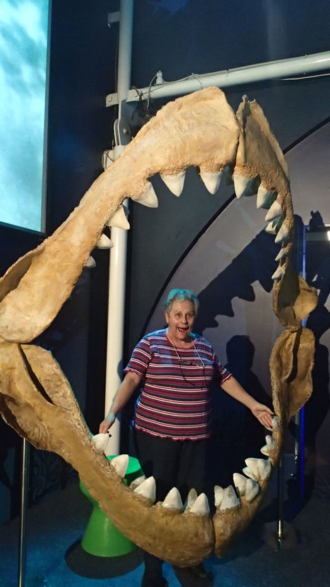 SEA LIFE Sydney Aquarium Entrance Ticket - Lismore Accommodation 3