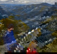 3-Day Blue Mountains and Hunter Valley Small-Group Eco-Tour - Lismore Accommodation