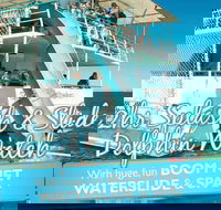 Port Stephens Dolphin Watching Cruise Including Splash and Slide - Lismore Accommodation