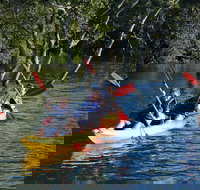 Kayak and SUP Guided Tours - Lismore Accommodation