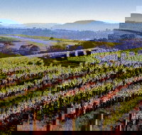 Private Day Trip to Hunter Valley from Sydney with Pickup - Lismore Accommodation