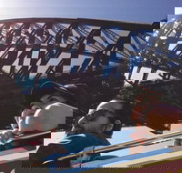 Sydney Shore Excursion Big Bus Sydney and Bondi Hop-On Hop-Off Tour - Lismore Accommodation