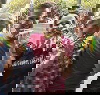 Fantastic Race Sydney - Lismore Accommodation