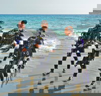 Sydney Guided Shore Dive - Lismore Accommodation