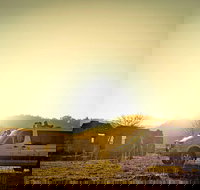 Wild Australian Wildlife 4WD Tour from Sydney - Lismore Accommodation